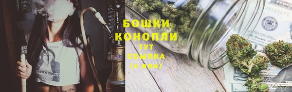 прущие крисы Покровск