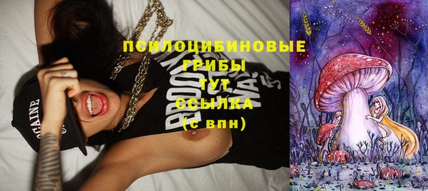 ешки Покров