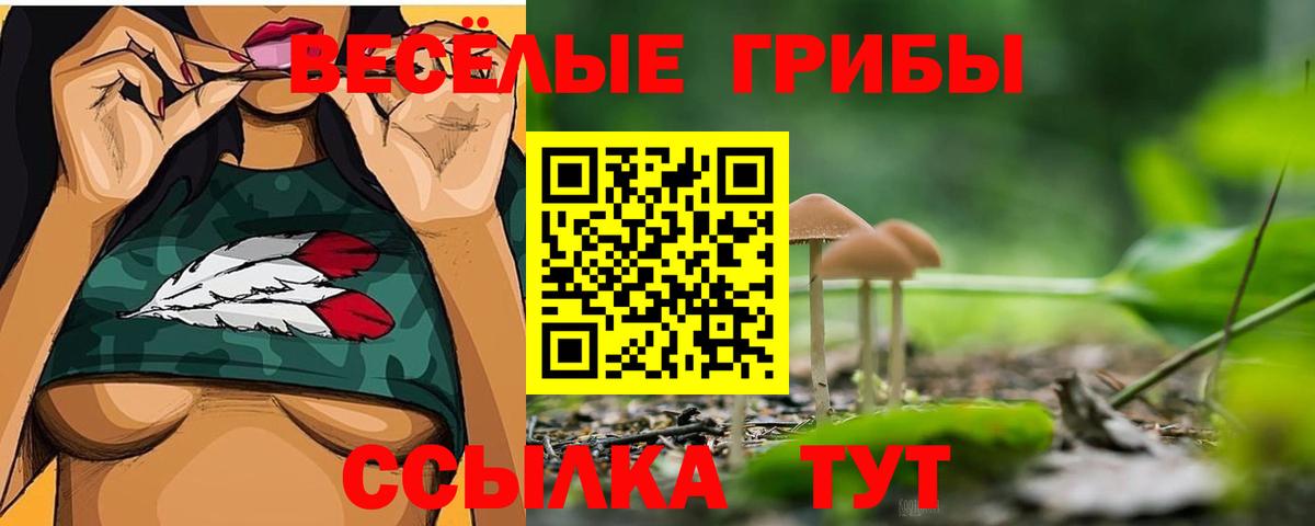 Галлюциногенные грибы Cubensis Лесозаводск
